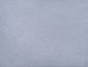 5559